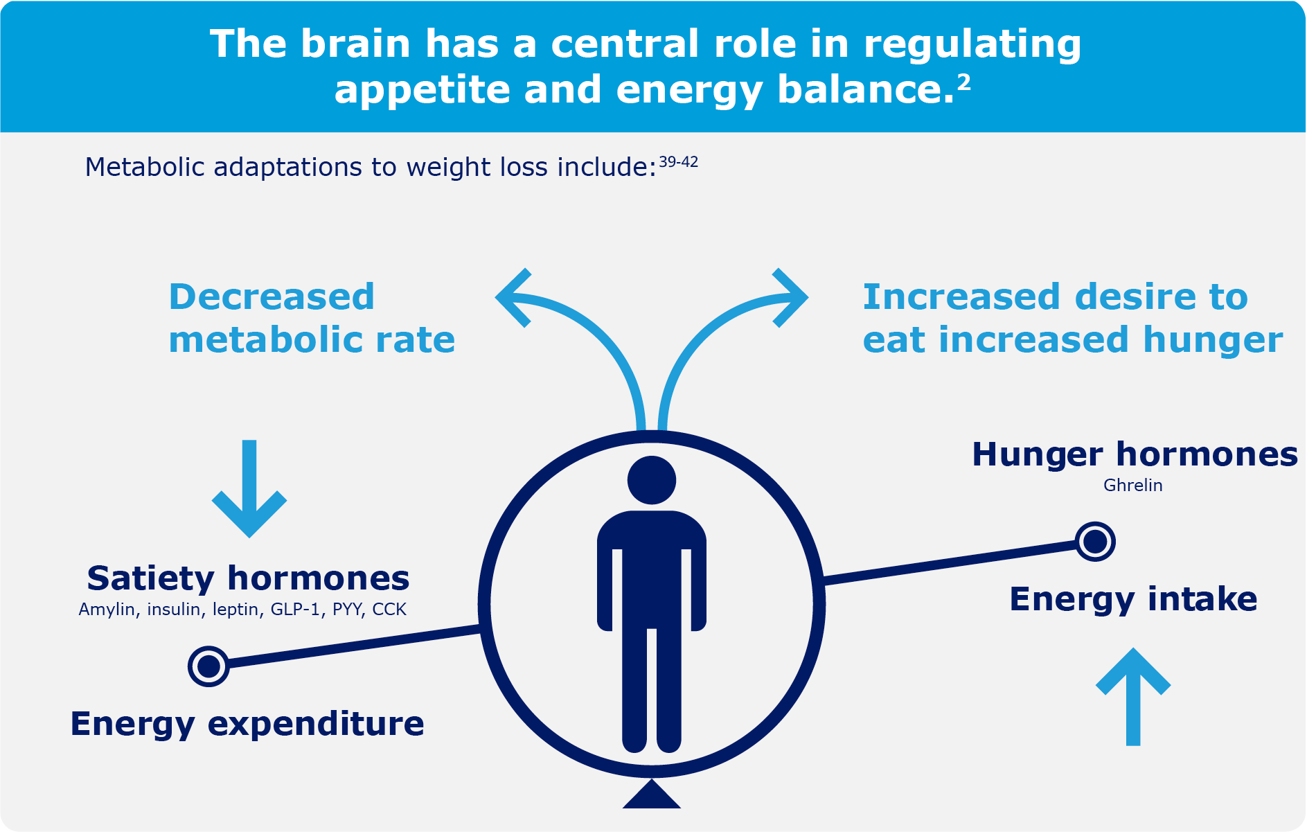 metabolic adaptations to weight loss